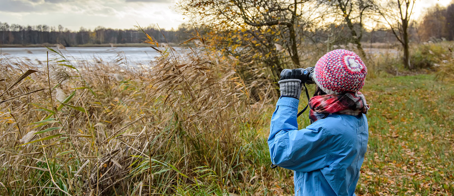 BIRDING WATCHING