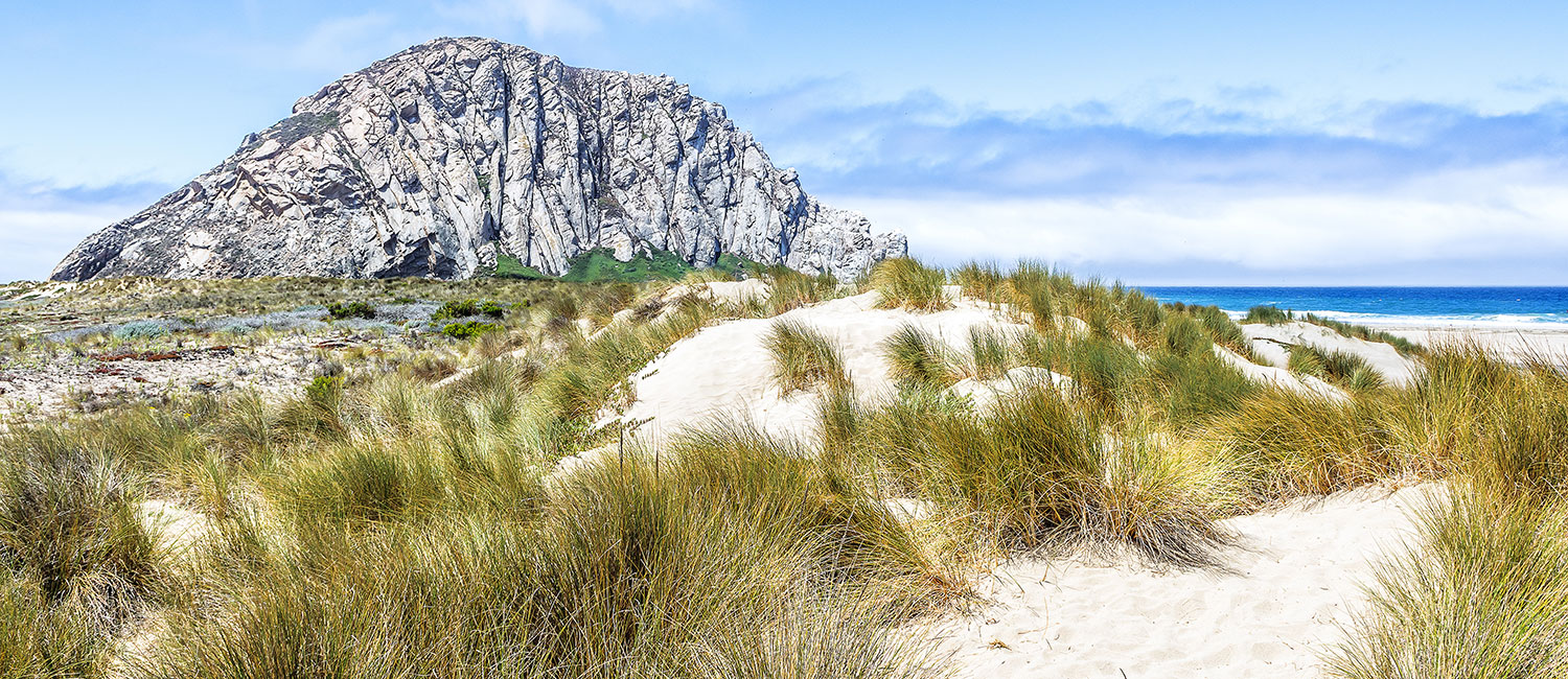 FALL IN LOVE WITH MORRO BAY AS A GUEST OF OUR HOTEL