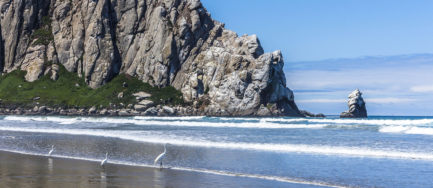 BOUNDLESS MORRO BAY ATTRACTIONS ARE CONVENIENTLY NEAR LA SERENA INN