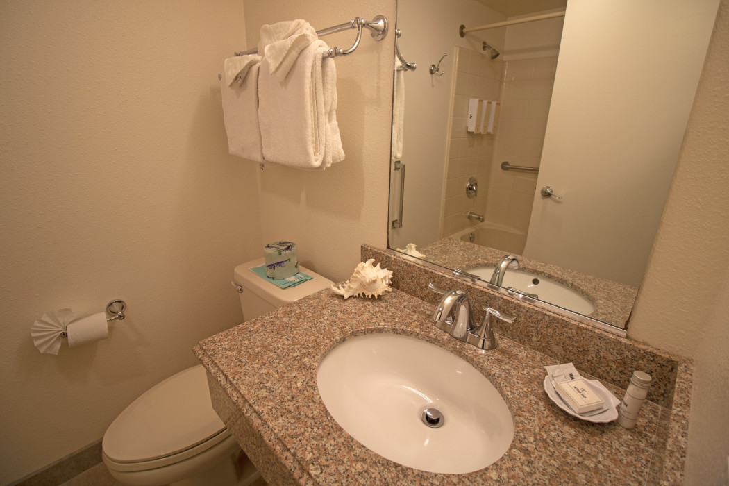 Bathroom with a Vanity Mirror 